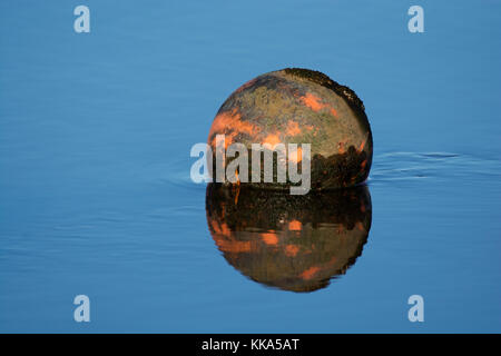 Buoy on calm water in Wyre estuary, Lancashire, UK Stock Photo