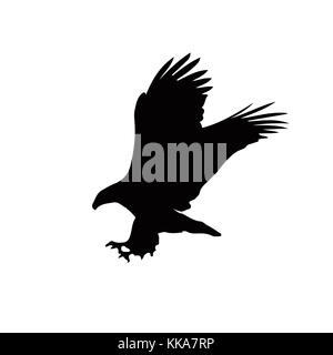 Black silhouette of eagle  isolated on white background. Vector illustration, clip art, icon, sign, symbol of eagle for design. Stock Photo