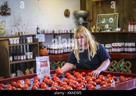 Oquawka, Iowa, USA. 17th Aug, 2017. Storekeeper Lisa Taylor sorts through tomatoes at the Slagel Farms Vegetables and Fruit Stand in Oquawka, Illinois, on Thursday, August 17, 2017. Taylor is a friend of the Slagel family and has worked buying and selling the produce for ten years. Credit: Andy Abeyta, Quad-City Times/Quad-City Times/ZUMA Wire/Alamy Live News Stock Photo