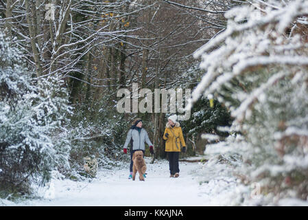 Deeside Way, Aberdeen . 30th November, 2017. Dog walkers on the Deeside Way path at Cults Aberdeen enjoying the snow. Credit: Paul Glendell/Alamy Live News Stock Photo