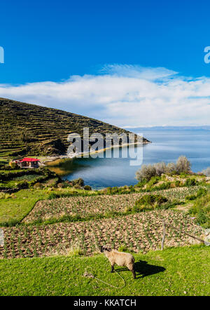 Island of the Sun, Titicaca Lake, La Paz Department, Bolivia, South America Stock Photo