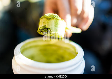 Closeup of wheatgrass powder crystals with static magnetic cling structure on plastic spoon macro with jar, hand holding scooping Stock Photo