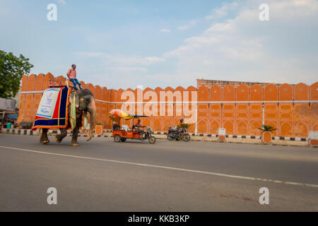 Jaipur, India - September 20, 2017: Unidentified man riding an huge elephant decorated with colors in Jaipur, Rajasthan, India Stock Photo