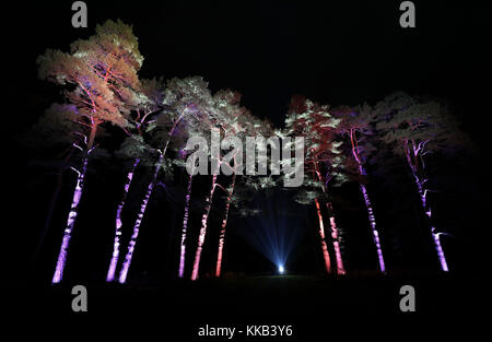 EDITORS NOTE LONG EXPOSURE Trees are illuminated during the launch of the Enchanted Christmas attraction at Westonbirt Arboretum near Tetbury. Stock Photo