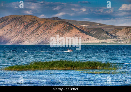 Boat, reed at Bear Lake, Black Mountain in distance, Bear Lake Valley near Garden City, Utah, USA Stock Photo