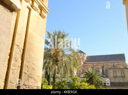 Sight of the mosque through a gate in  Cordoba, andalusia, Spain. Stock Photo