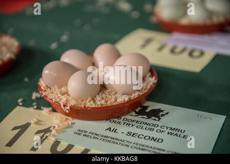 Eggs in presentation at a enthusiasts show at The Royal Welsh Showground, Builth Wells, Powys, Wales. UK.