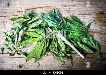 Dried marijuana leafs and a joint on a wooden table Stock Photo