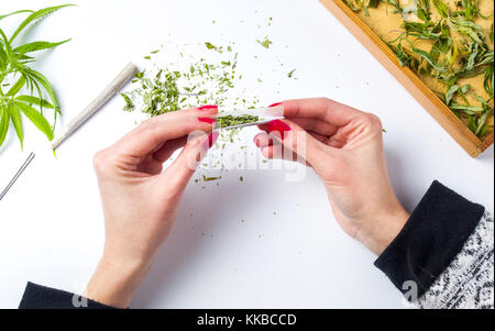 Girl wrapping marijuana joint top view pov Stock Photo