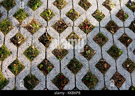 Environmentally friendly green parking pattern of square cement floor tiles with green grass inside. Concrete square cells with living grass, can be u Stock Photo