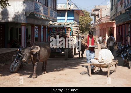 Man sitting on a charpoy in a village street, with walking buffalo past. Rajasthan Stock Photo