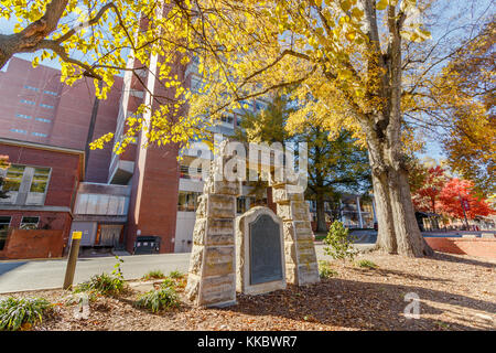 Daughters of the American Revolution Monument on November 24, 2017 at North Carolina State University in Raleigh, North Carolina. Stock Photo