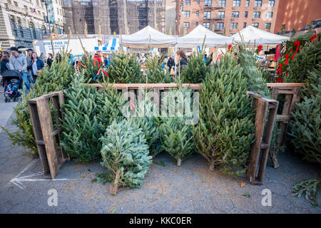 Christmas trees  for sale in the Union Square Greenmarket in New York on Saturday, November 25, 2017. According to the National Christmas Tree Association a short supply of the trees will lead to higher prices this year.  (© Richard B. Levine) Stock Photo