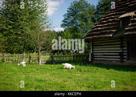 Reconstruction of old timber village in Folk Architecture Museum in Sanok – the biggest open-air museum in Poland Stock Photo