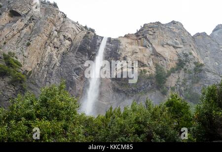 Bridal Veil falls in Yosemite National Park on a rainy day, in late Spring when snow melt causes the falls to surge, with trees visible in the foreground, Yosemite Valley, California, 2016. Stock Photo