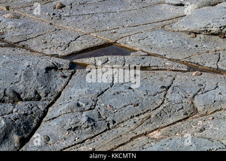 Close up of patterns and textures on rocks on beach background Stock Photo