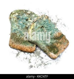 Photo of a piece of the gray bread, covered a mold (on a white background) Stock Photo