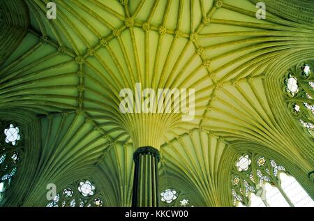 Stone fan vaulting and windows of the ceiling of the Chapter House of Wells Cathedral, Somerset, England. Stock Photo