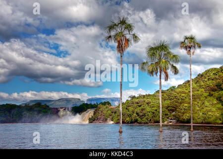 Three palm trees in the lake next to waterfall in Canaima National Park, Venezuela on a sunny day Stock Photo