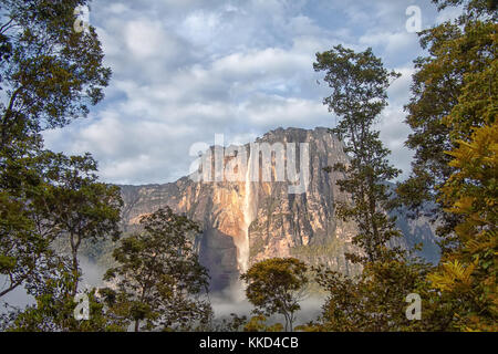 Angel falls - view to the tallest waterfall on Earth in early morning Stock Photo