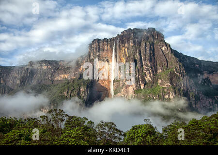 Angel falls - view to the tallest waterfall on Earth in early morning Stock Photo