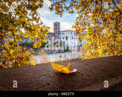 Beautiful photo of Rome, Italy with yellow foliage in Autumn Stock Photo