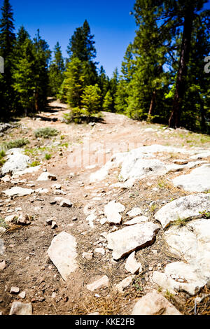 Low angle view of a picturesque stony mountain track through evergreen forests with rocks in the foreground Stock Photo