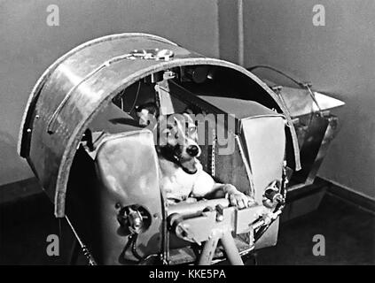 Sputnik 2 dog hi-res stock photography and images - Alamy