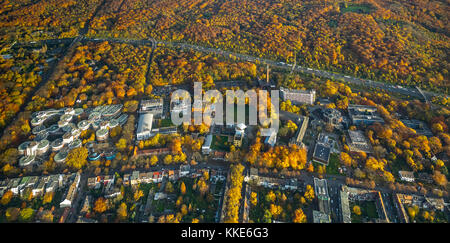 University of Duisburg-Essen, UDE, biscuit tins, merger of Gerhard-Mercator-Universität Duisburg and the University-Gesamthochschule Essen, in autumn, Stock Photo