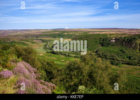 Steam train in North Dale from Goathland Moor Fylingdales beyond North York Moors national park North Yorkshire Stock Photo