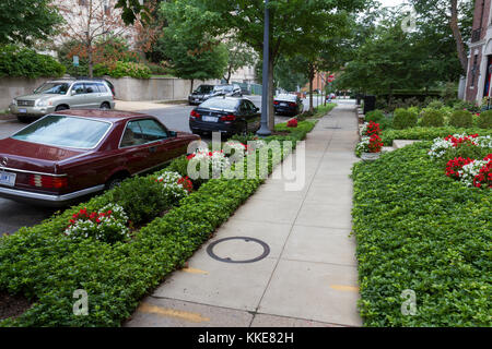 Immaculate sidewalk flower display on 24th St NW in Washington DC, United States. Stock Photo