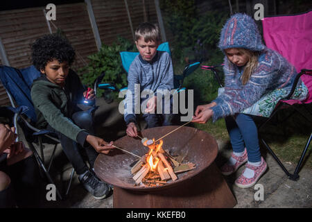 Big Wild Sleepout event pix . Images of young kids/ children and parents out in their back garden from around mid-afternoon until night-time, enjoying activities, such as  making a den, looking at bugs, putting out dog food for hedgehogs, toasting marshmallows around a fire pit, moth trapping, looking for nocturnal wildlife. Stock Photo