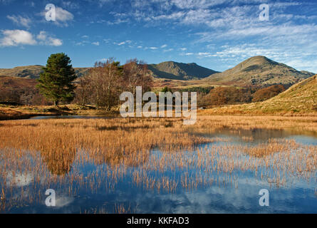 Reflections in Kelly Hall Tarn, with the old man of Coniston gracing the background Stock Photo