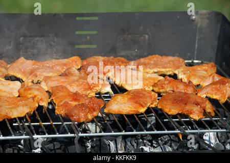 delicious chiken on the grill Stock Photo