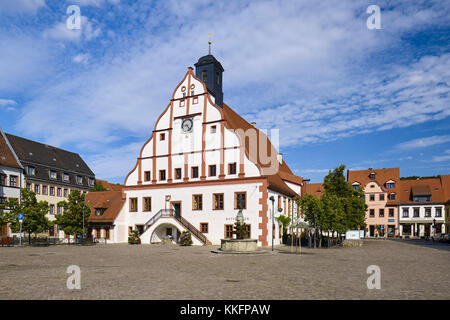Town Hall on the market square in Grimma, district Leipzig, Saxony, Germany Stock Photo