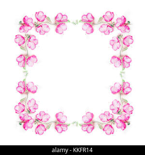 Floral frame with pink flower buds, branches and leaves on climbing plant on white background, top view, copy space Stock Photo