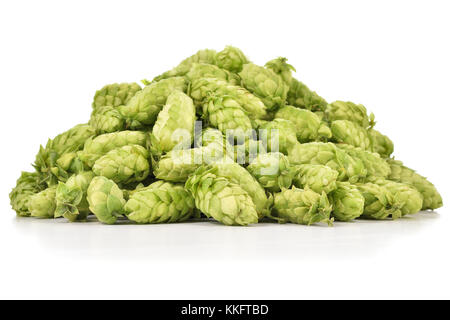 Heap of fresh green hops (Humulus lupulus) isolated on white background. Pile of hops, ingredient for brewery industry. Stock Photo