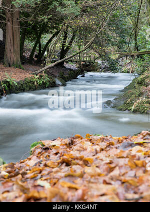 Rouken Glen Park. Glasgow. Scotland. Stock Photo