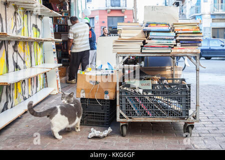 ATHENS, GREECE - NOVEMBER 4, 2017: Stray cat eating near second hand books at the Athens flea market of Monastiraki  Picture of a gray stray cat in th Stock Photo