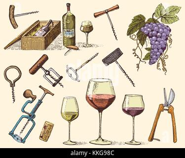 wine harvest products, press, grapes, vineyards corkscrews glasses bottles for menus and signage in the bar. engraved hand drawn in old sketch, vintage style for label or T-shirt. Stock Vector