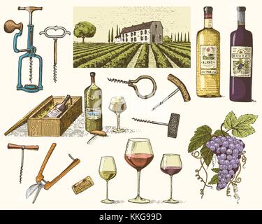 wine harvest products, press, grapes, vineyards corkscrews glasses bottles for menus and signage in the bar. engraved hand drawn in old sketch, vintage style for label or T-shirt. Stock Vector