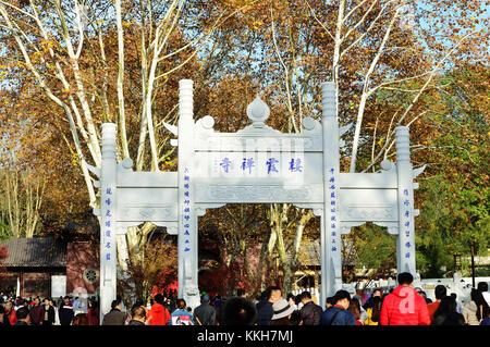 Nanjin, Nanjin, China. 25th Nov, 2017. Nanjing, CHINA-25th November 2017:(EDITORIAL USE ONLY. CHINA OUT) .More than 100,000 tourists flock to enjoy red maple trees at Qixia Mountain in Nanjing, east China's Jiangsu Province. Credit: SIPA Asia/ZUMA Wire/Alamy Live News Stock Photo