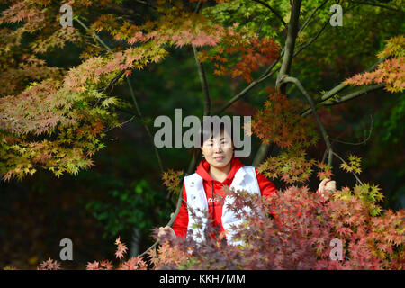 Nanjin, Nanjin, China. 25th Nov, 2017. Nanjing, CHINA-25th November 2017:(EDITORIAL USE ONLY. CHINA OUT) .More than 100,000 tourists flock to enjoy red maple trees at Qixia Mountain in Nanjing, east China's Jiangsu Province. Credit: SIPA Asia/ZUMA Wire/Alamy Live News Stock Photo