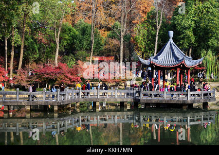 Nanjin, Nanjin, China. 25th Nov, 2017. Nanjing, CHINA-25th November 2017:(EDITORIAL USE ONLY. CHINA OUT) .More than 100,000 tourists flock to enjoy red maple trees at Qixia Mountain in Nanjing, east China's Jiangsu Province. Credit: SIPA Asia/ZUMA Wire/Alamy Live News Stock Photo