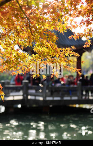 Nanjin, Nanjin, China. 25th Nov, 2017. Nanjing, CHINA-25th November 2017:(EDITORIAL USE ONLY. CHINA OUT) .More than 100,000 tourists flock to enjoy red maple trees at Qixia Mountain in Nanjing, east China's Jiangsu Province. Credit: SIPA Asia/ZUMA Wire/Alamy Live News Stock Photo