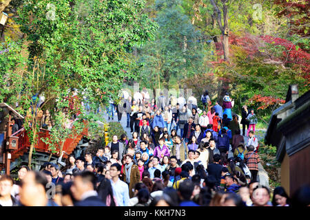 Nanjin, Nanjin, China. 25th Nov, 2017. Nanjing, CHINA-25th November 2017:(EDITORIAL USE ONLY. CHINA OUT) .More than 100,000 tourists flock to enjoy red maple trees at Qixia Mountain in Nanjing, east China's Jiangsu Province. Credit: SIPA Asia/ZUMA Wire/Alamy Live News Stock Photo