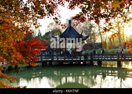 Nanjin, Nanjin, China. 25th Nov, 2017. Nanjing, CHINA-25th November 2017:(EDITORIAL USE ONLY. CHINA OUT) .More than 100,000 tourists flock to enjoy red maple trees at Qixia Mountain in Nanjing, east China's Jiangsu Province. Credit: SIPA Asia/ZUMA Wire/Alamy Live News Stock Photo