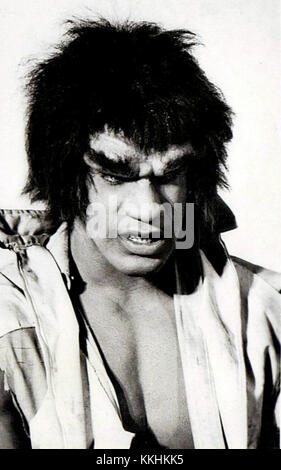 THE INCREDIBLE HULK LOU FERRIGNO as the Hulk THE INCREDIBLE HULK Stock ...