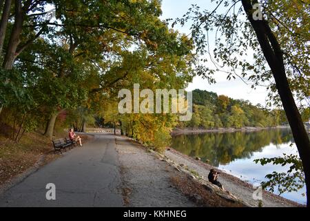 Observed along Jamaica Pond Stock Photo