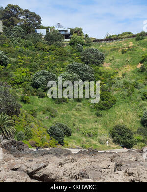 Waiheke Island Auckland New Zealand Pictures Neville Marriner Stock Photo